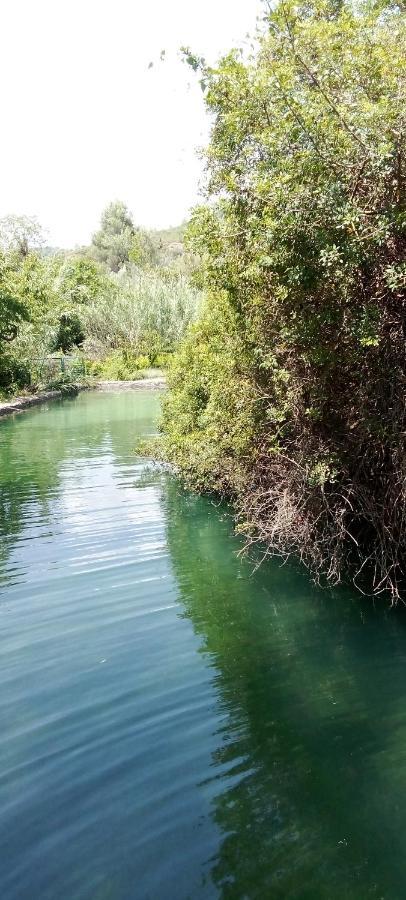 La Viajera Espadan Algimia de Almonacid المظهر الخارجي الصورة